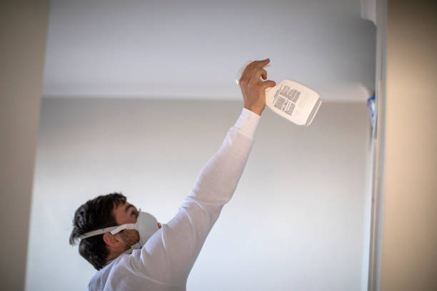 Best Toxic Mold Removal  in Manchester Center, VT