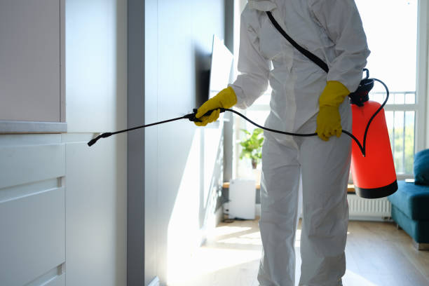 Best Mold Damage Repair  in Manchester Center, VT
